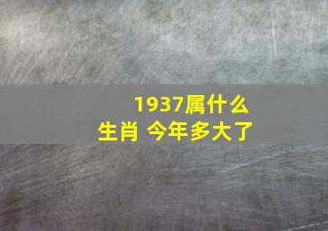 1937属什么生肖 今年多大了